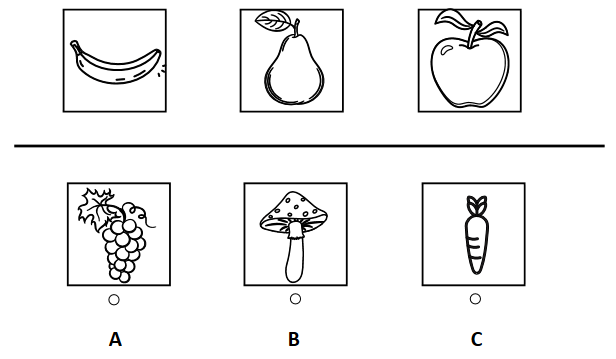 cogat kindergarten picture classification